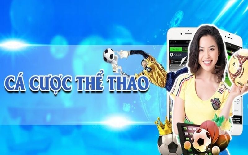 Sản phẩm thể thao Hi88 nổi bật